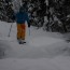 Forest Revelstoke, BC - Canada.